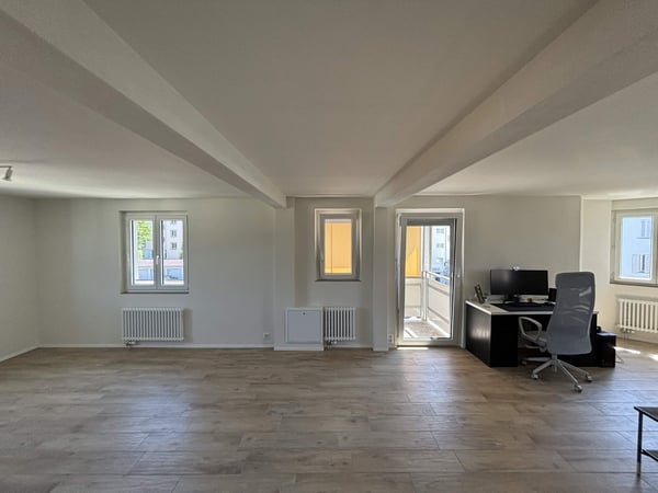 Rent a 3 ½ rooms apartment in Horgen 3