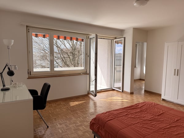 Cozy room in Zurich City 3