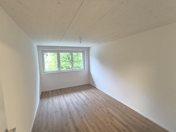 Familienwohnung 4.5-Zimmer im Neubau mit Balkon und Reduit - 105m² 2