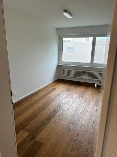 Moderne grosse Wohnung in Allschwil 7