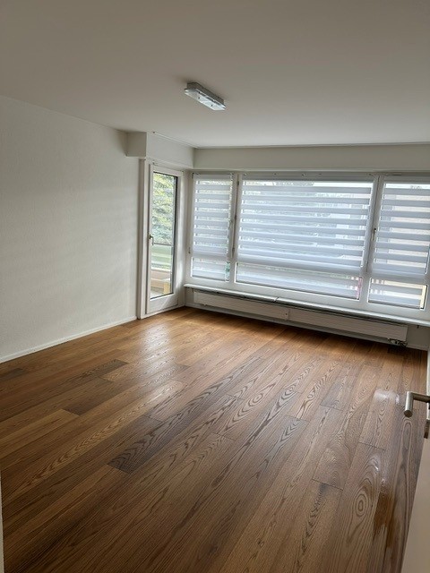 Moderne grosse Wohnung in Allschwil 5