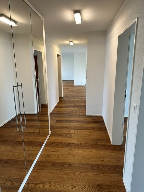 Moderne grosse Wohnung in Allschwil 4