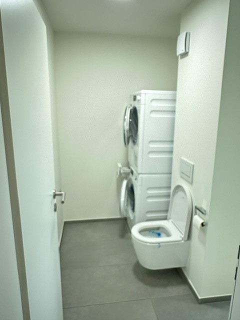 Moderne grosse Wohnung in Allschwil 11