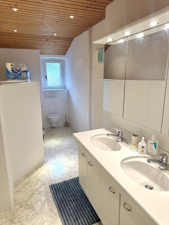 Bright furnished 3.5-room top-floor apartment at Hegibachplatz (Seefeld) sublet AugJan 9