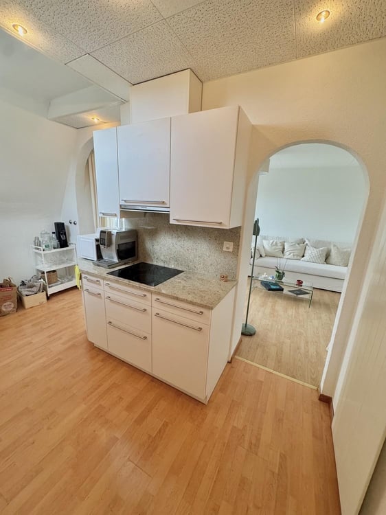 Bright furnished 3.5-room top-floor apartment at Hegibachplatz (Seefeld) sublet AugJan 3