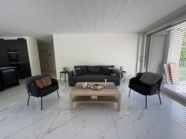 4.5 Rooms with 2 Baths Newly Furnished Apartment Available for Sublet 2
