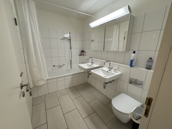 4.5 Rooms with 2 Baths Newly Furnished Apartment Available for Sublet 9