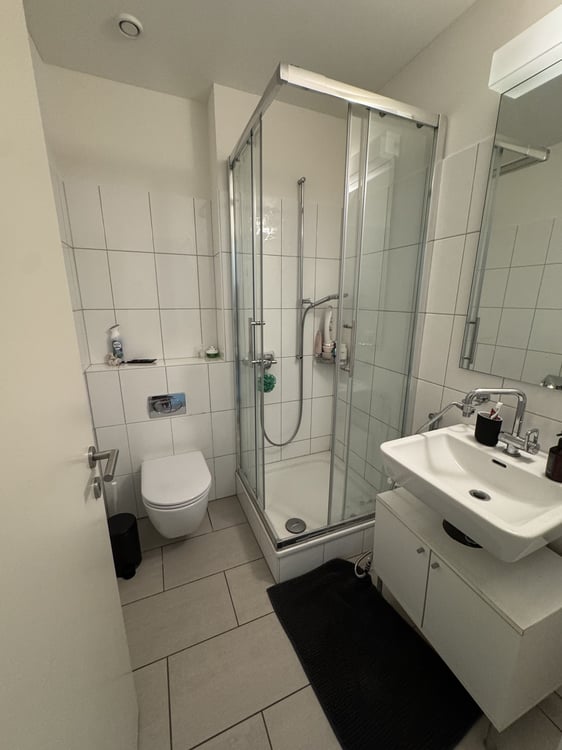 4.5 Rooms with 2 Baths Newly Furnished Apartment Available for Sublet 7