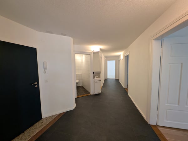 Neu renovierte und wunderschöne 4.5-Zimmer-Wohnung, im Herzen von Zürich 3