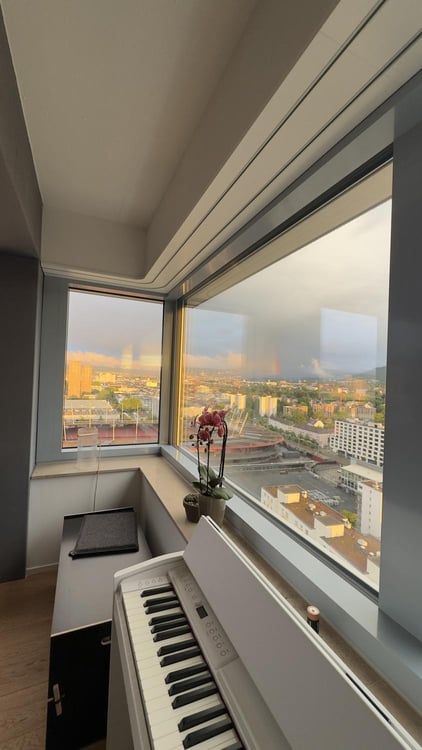 High-Floor 2.5-Room Apartment, open views to the City and Uetliberg 6
