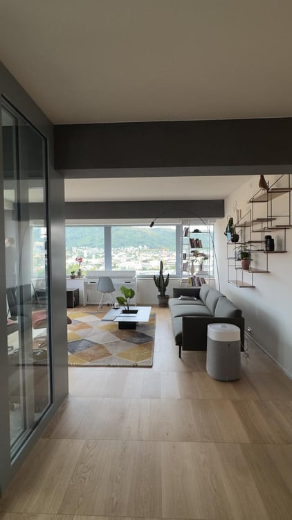 High-Floor 2.5-Room Apartment, open views to the City and Uetliberg 5