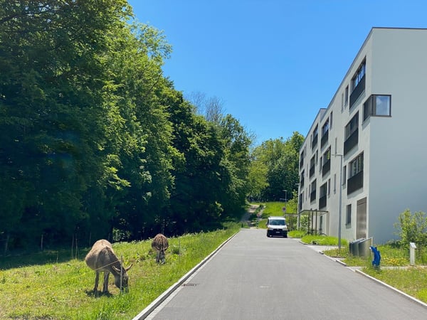 Grosszügiges Wohnen auf 128 m² Ihr neues Zuhause im beliebten ChlyholzQuartier in Olten 1