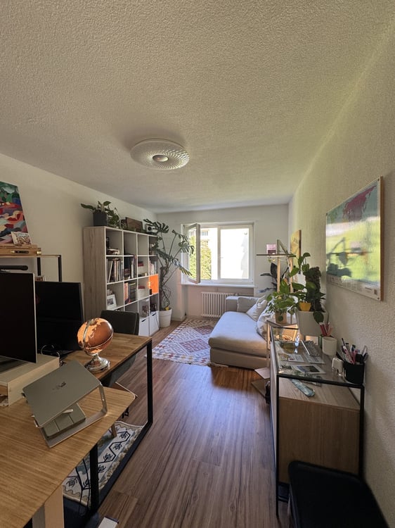 3.5 rooms apartment in Wiedikon 7