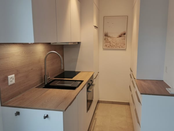 Neuwertiges, möbliertes, Studio mit 20m2 Terrasse 3