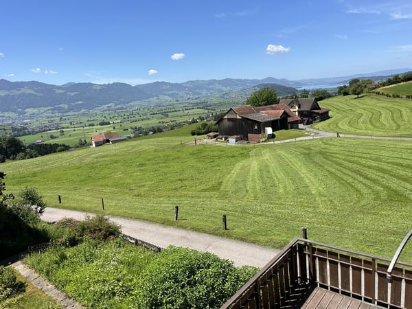 Charmante 4.5ZimmerWohnung mit traumhafter Aussicht im Grünen 9