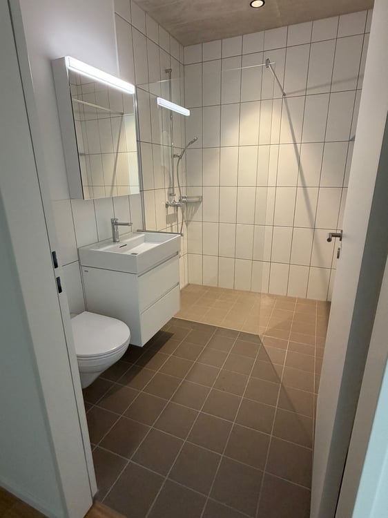 2 ½ Zimmer-Wohnung, 8964 Rufolfstetten 3