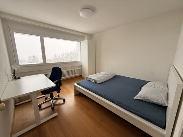 Cozy room in Zurich City 5