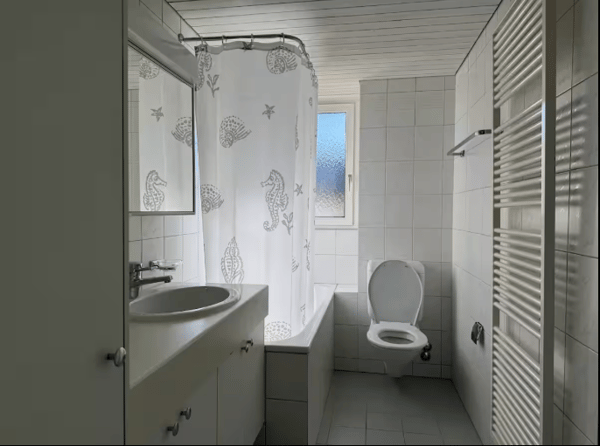 Cozy room in Zurich City 7