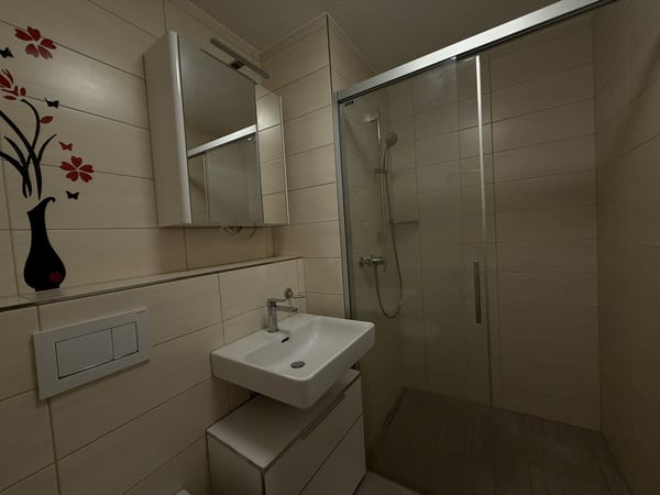 Moderne, Helle, Ruhige und Grosszügige 4.5-Zimmer-Wohnung in Brüttisellen 5