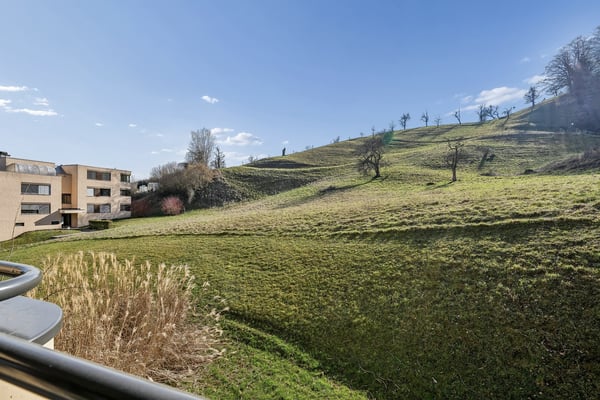 Exklusive 6.5-Zimmer-Wohnung Erstbezug in Adliswil 2