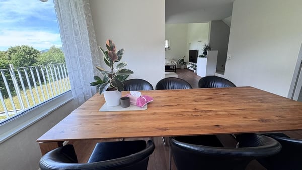 Exklusives möbliertes 8.5-Zimmer Einfamilienhaus mit Garten und Doppelgarage 3
