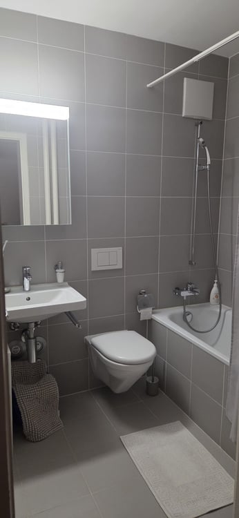 Helle und gemütliche 2-Zimmer-Wohnung mit zwei Balkonen in Basel 5