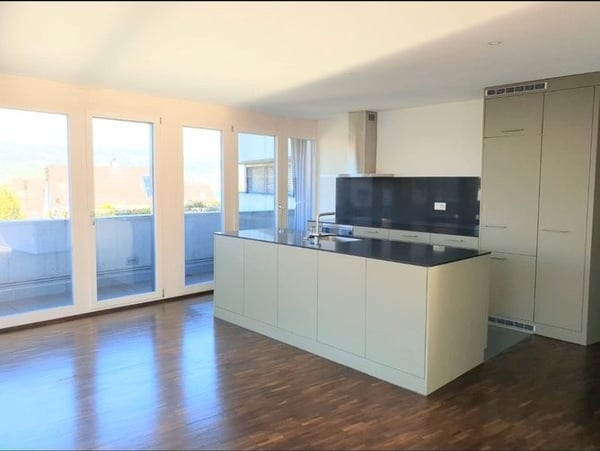 3.5 flat with views of the lake 4