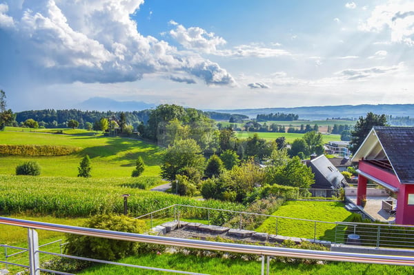 single house in Mettmenstetten with Mountain Views 8