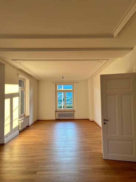Helle 4.5-Zimmer-Altbauwohnung im Grünen in Zürich-Enge/Kreis 2 - Nachmieter ab 1.10. gesucht 5