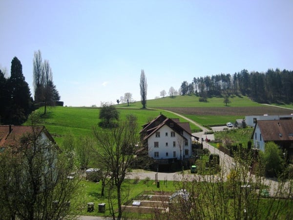 Boppelsen