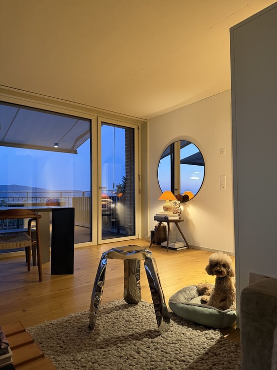 Private Room in Lake View Design Furnished Apartment 7