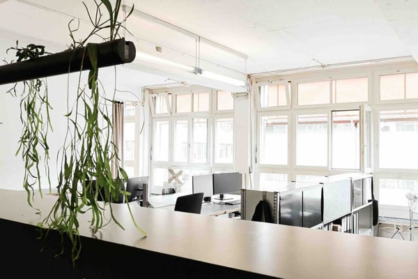 Bürofläche möbliert in Loft38 Zürich-Binz 1