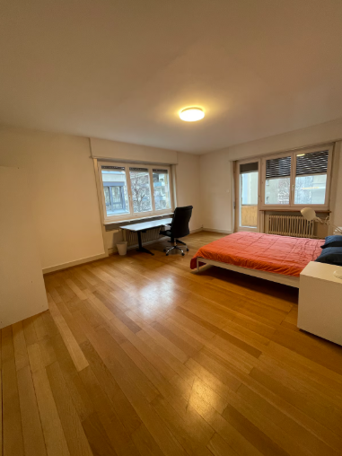 Cozy apartment in Zurich Wiesendangen 1