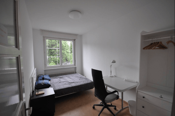 Cozy apartment in Zurich Wiesendangen 5