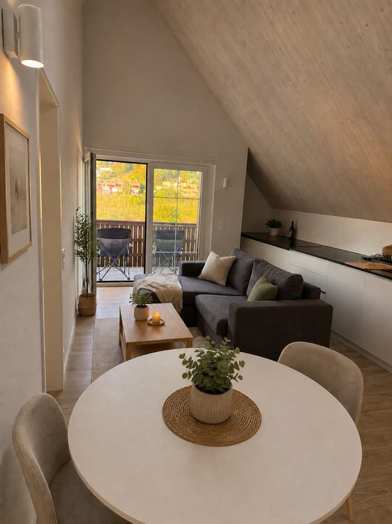 Helle Dachwohnung mit grossem Balkon und moderner Ausstattung 1