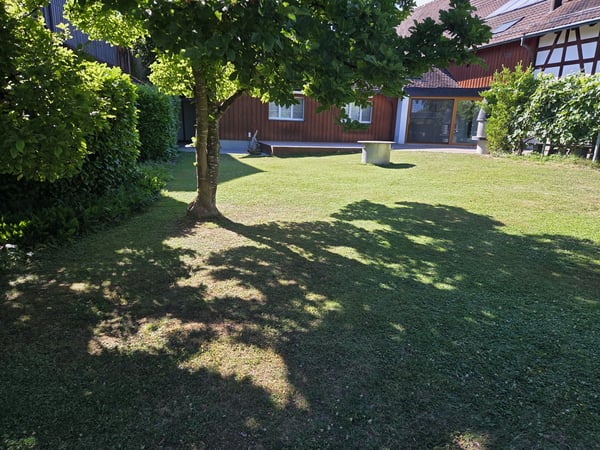 Einzigartige 3 Zimmer Loftwohnung mit Wintergarten & Garten 6