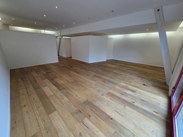 Einzigartige 3 Zimmer Loftwohnung mit Wintergarten & Garten 13