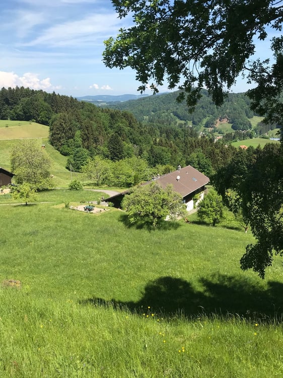 6-Zimmer-Hausteil, in wunderbarer Umgebung mit Weitsicht 12
