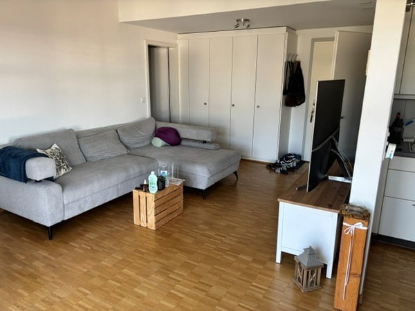 Charmante 2.5-Zimmerwohnung im Dorfzentrum von Römerswil 1