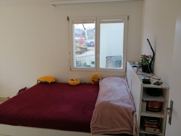 5.5-Zimmer-Einfamilienhaus mit Garten und Doppelgarage zu vermieten 6