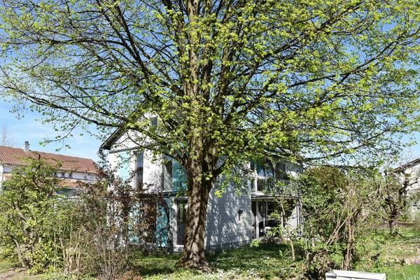 Einzigartiges 6-Zimmer-Einfamilienhaus in Rupperswil Purismus, Privatsphäre u. Nachhaltigkeit 5