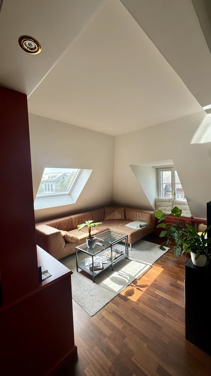 Befristete Attikawohnung mit 60 m² Dachterrasse im Kreis 6 3