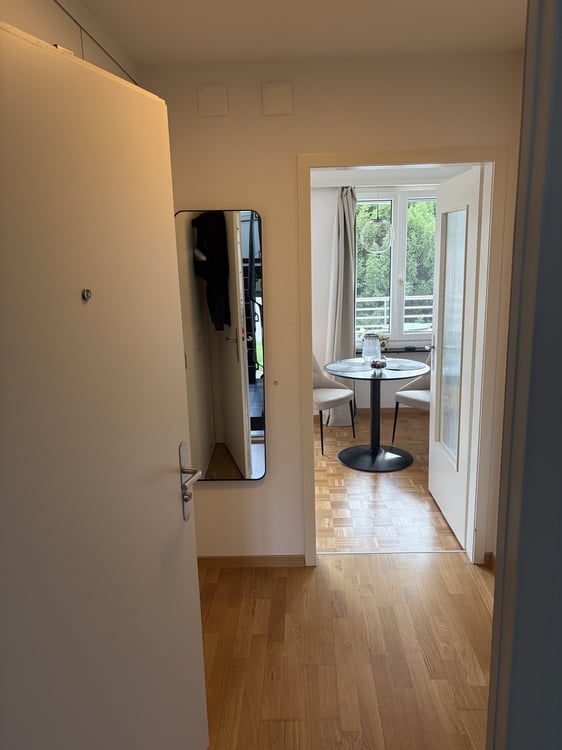 Möblierte Wohnung mit Seesicht zur Untermiete unbefristet 3