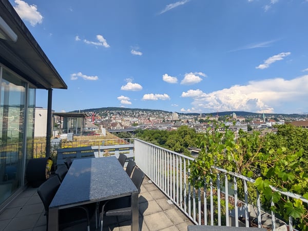 Penthouse Triplex mit privater Dachterasse, 7ter Stock, 3 Min zum HB & direkt an der Sihl 2