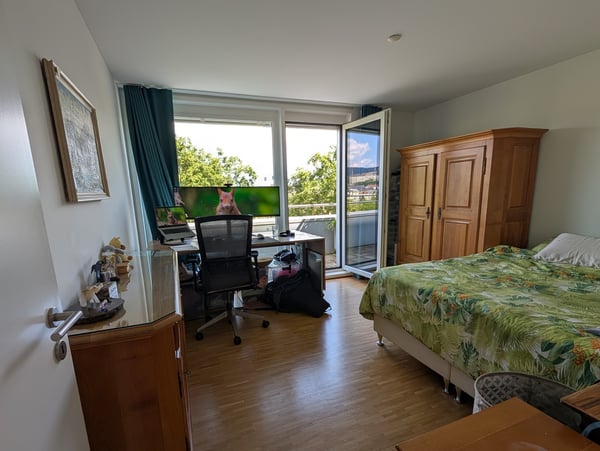 Penthouse Triplex mit privater Dachterasse, 7ter Stock, 3 Min zum HB & direkt an der Sihl 4