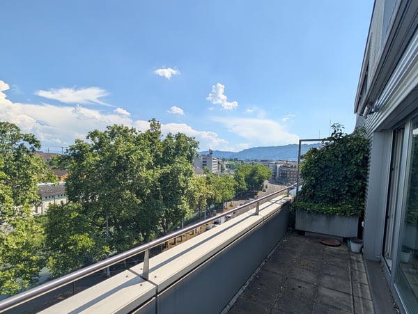 Penthouse Triplex mit privater Dachterasse, 7ter Stock, 3 Min zum HB & direkt an der Sihl 8
