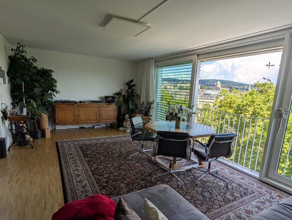 Penthouse Triplex mit privater Dachterasse, 7ter Stock, 3 Min zum HB & direkt an der Sihl 3