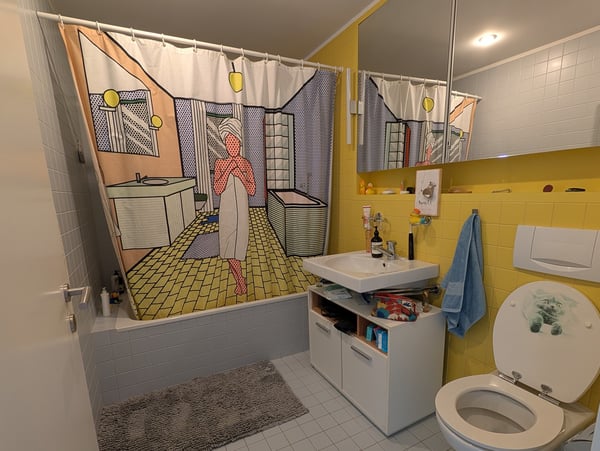 Penthouse Triplex mit privater Dachterasse, 7ter Stock, 3 Min zum HB & direkt an der Sihl 10