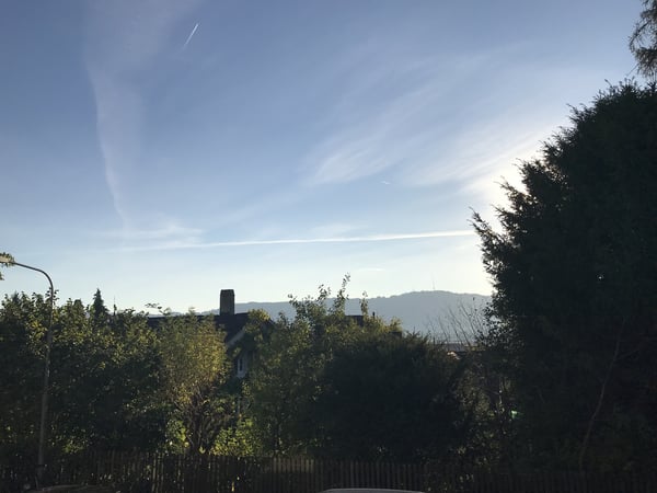 Lichtdurchflutete 3.5-Zimmer-Wohnung mit grossem Balkon in Hottingen (41 m²) 10