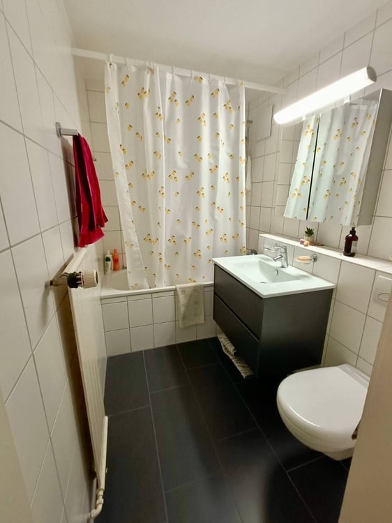 1 ½ Zimmer-Wohnung, 1600 Thun 8